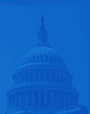 Capitol Image