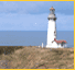 Photo of a lighthouse on the Oregon Coast