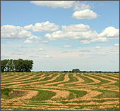 Photo of a farm.