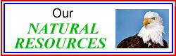 Click on to go to Jim's Natural Resources Page