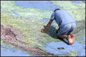 child kneeling over map of US