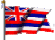 [Hawaiian Flag]