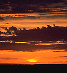 Picture of a sunset