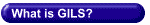 What is GILS?