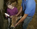 Young Farmers, photo of girl feeding calf