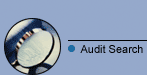 Audit Search
