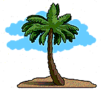 palm tree button