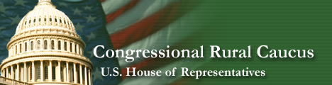 top banner graphic with capitol dome, congressperson first last united states house of representatives