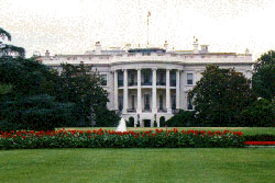 whitehouse2.jpg