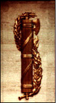 Bronze Fasces image