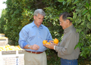 Congressman McCarthy Visiting Citrus Farmer