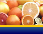 Image of Citrus fruits and bottom banner