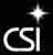 CSI Eagles--logo