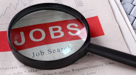 The Jobs Search