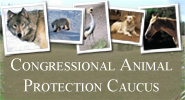 Congressional Animal Protection Caucus