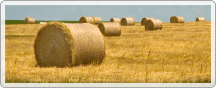 Issue Icon - Agriculture