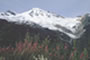 photo, Mount Baker, Bellingham, Washington
