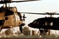 A team of Black Hawk helicopters sit at a hover before a mission in the Baghdad area, Camp Taji, Iraq, Nov. 28, 2010. U.S. Army photo by Spc. Roland Hale