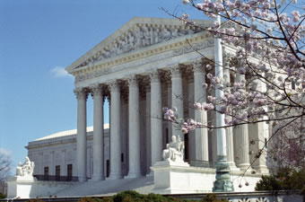 West view of the Supreme Court Building with cherry blossoms