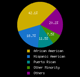 Graph for number of firms by ethnicity