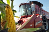 Five Reasons the Tea Party Is Not Lobbying for End of Ethanol Subsidies