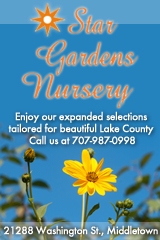 Star Gardens in Middletown - Specializing in a wide variety of interesting plants suited for Lake County