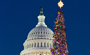 2009 Capitol Christmas Tree