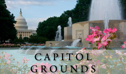 Capitol Grounds