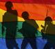 Pentagon leaders say gays won't hurt military