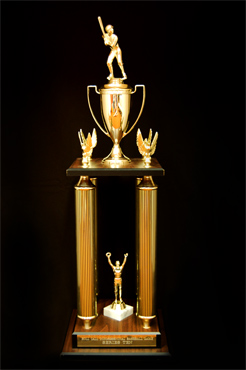 Congressional Baseball Trophy, 2005
