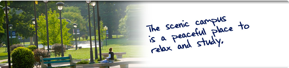 The scenic campus is a peaceful place to relax and study.