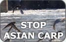 Stop Asian Carp