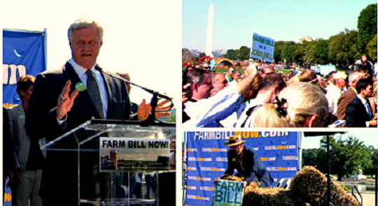 Farm Bill Now Rally feature image