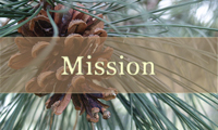 scout_mission