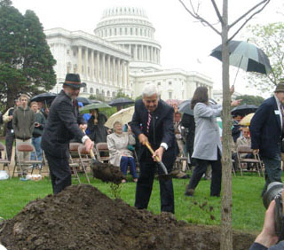 Senator Lugar and Architect of the Capitol Alan Hantman plant Senator Lugar's black walnut tree on the U.S. Capitol grounds.