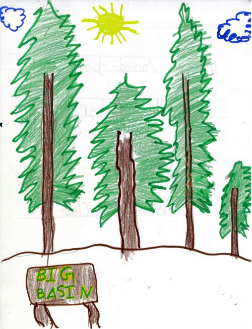 3rd place in K-2nd  grade category, Pranav Amudachary from Circle of Independent Learning School in Fremont, CA