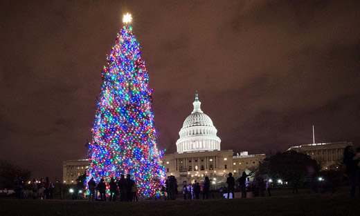 The lights of the Capitol Christmas tree were turned on Tuesday, Dec. 4, 2012. See the full photo album here.