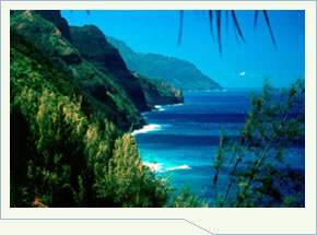 Hawaii Coastal View