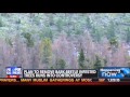 FOX News Spotlight on Mountain Pine Beetle Epidemic