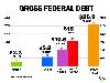 Gross federal debt through 2025