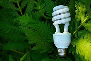 Energy saving light bulb in front of plants
