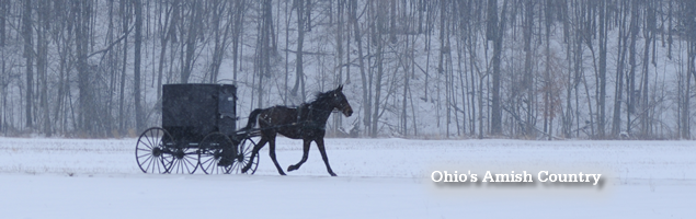 Check Out Ohio's Amish Country Itineraries