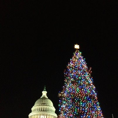 Photo: 48th Annual Christmas Tree Lighting Ceremony