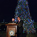 Speaker John Boehner, joined by a student from Colorado, lights the 2012 U.S. Capitol Christmas Tree, a 65-foot Engelmann Spruce from the White River National Forest in Colorado. December 4, 2012. (Official Photo by Heather Reed)

--
This official Speaker of the House photograph is being made available only for publication by news organizations and/or for personal use printing by the subject(s) of the photograph. The photograph may not be manipulated in any way and may not be used in commercial or political materials, advertisements, emails, products, promotions that in any way suggests approval or endorsement of the Speaker of the House or any Member of Congress.