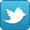 icon-Twitter