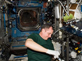 An astronaut works on a plant experiment in the International Space Station.