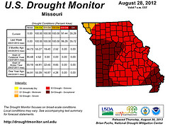 Missouri Drought Monitor (August 28)