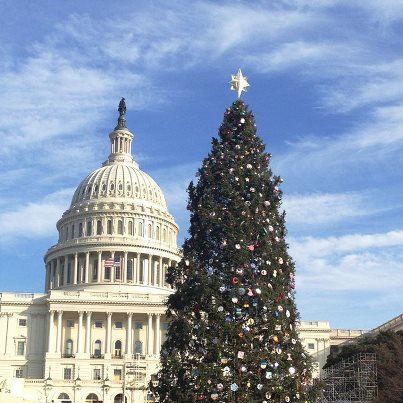 Photo: Tonight we will light the U.S. Capitol Christmas Tree, which comes all the way from the White River National Forest near Meeker. Here's a photo of the tree from today.