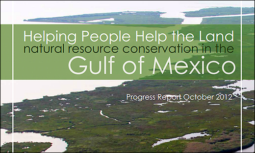 Gulf of Mexico Report - Dec. 2012