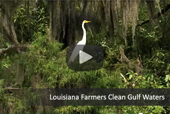 La. Farmers Clean Gulf Waters